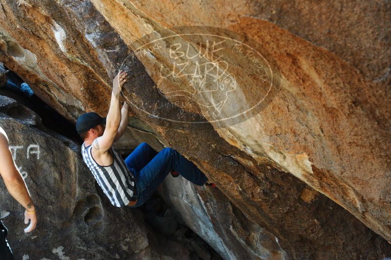 

Filename: SRM_20180223_1118380.jpg
Aperture: f/4.5
Shutter Speed: 1/320
Body: Canon EOS-1D Mark II
Lens: Canon EF 50mm f/1.8 II