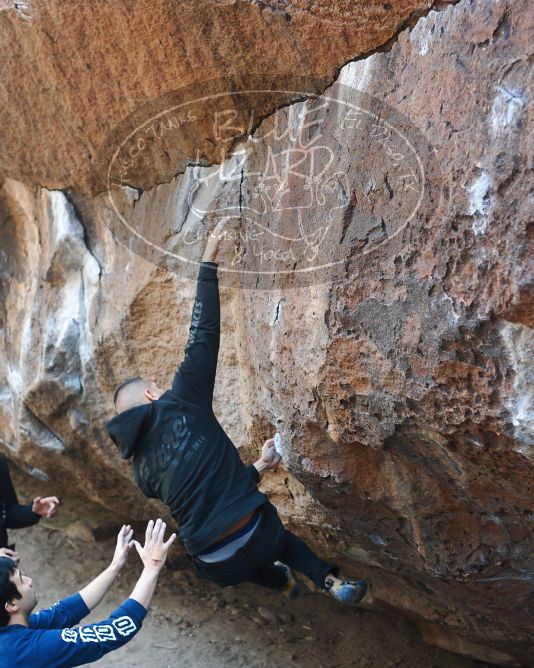 

Filename: SRM_20180223_1259010.jpg
Aperture: f/3.2
Shutter Speed: 1/320
Body: Canon EOS-1D Mark II
Lens: Canon EF 50mm f/1.8 II