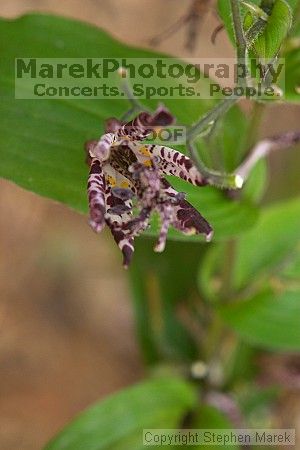 

Filename: crw_2342_std.jpg
Aperture: f/5.6
Shutter Speed: 1/25
Body: Canon EOS DIGITAL REBEL
Lens: Canon EF 50mm f/1.8 II