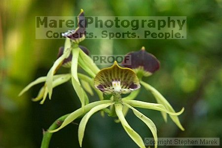 

Filename: crw_2392_std.jpg
Aperture: f/9.0
Shutter Speed: 1/15
Body: Canon EOS DIGITAL REBEL
Lens: Canon EF 50mm f/1.8 II