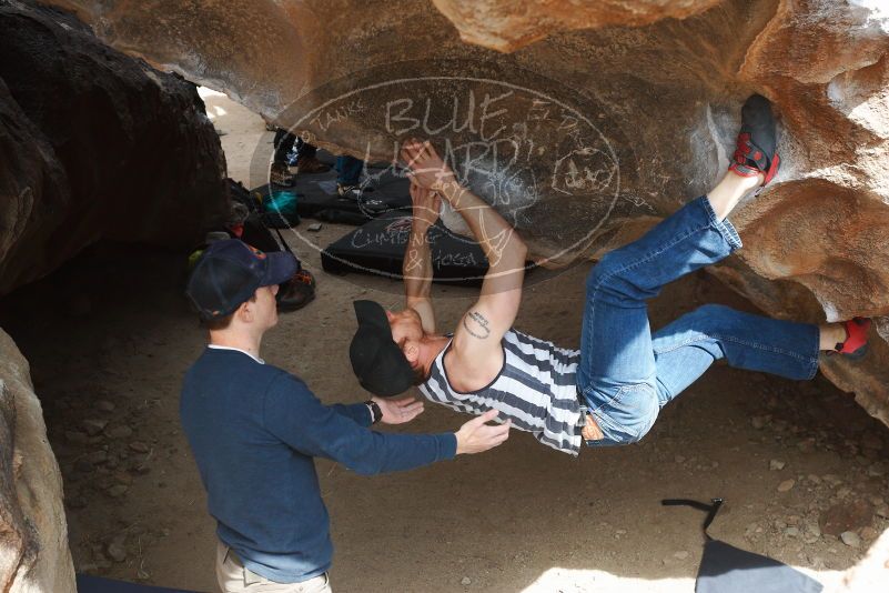 

Filename: SRM_20180223_1317140.jpg
Aperture: f/5.0
Shutter Speed: 1/400
Body: Canon EOS-1D Mark II
Lens: Canon EF 50mm f/1.8 II