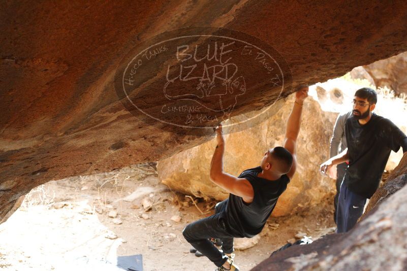 

Filename: SRM_20180223_1337470.jpg
Aperture: f/4.5
Shutter Speed: 1/320
Body: Canon EOS-1D Mark II
Lens: Canon EF 50mm f/1.8 II