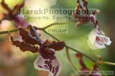 

Filename: crw_2386_std.jpg
Aperture: f/4.0
Shutter Speed: 1/60
Body: Canon EOS DIGITAL REBEL
Lens: Canon EF 50mm f/1.8 II