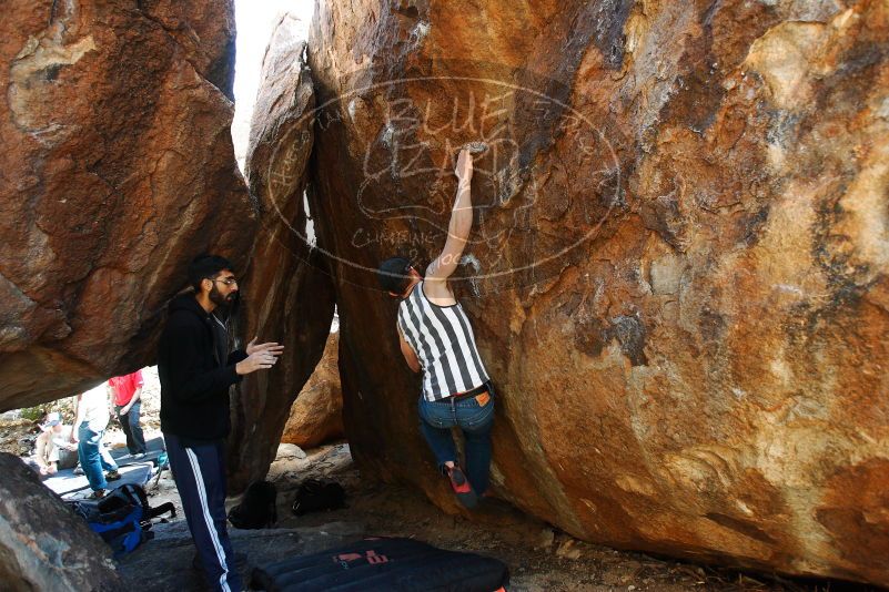 

Filename: SRM_20180223_1434551.jpg
Aperture: f/4.0
Shutter Speed: 1/250
Body: Canon EOS-1D Mark II
Lens: Canon EF 16-35mm f/2.8 L