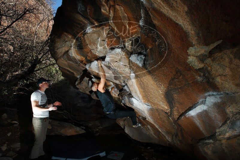 

Filename: SRM_20180223_1653240.jpg
Aperture: f/8.0
Shutter Speed: 1/250
Body: Canon EOS-1D Mark II
Lens: Canon EF 16-35mm f/2.8 L