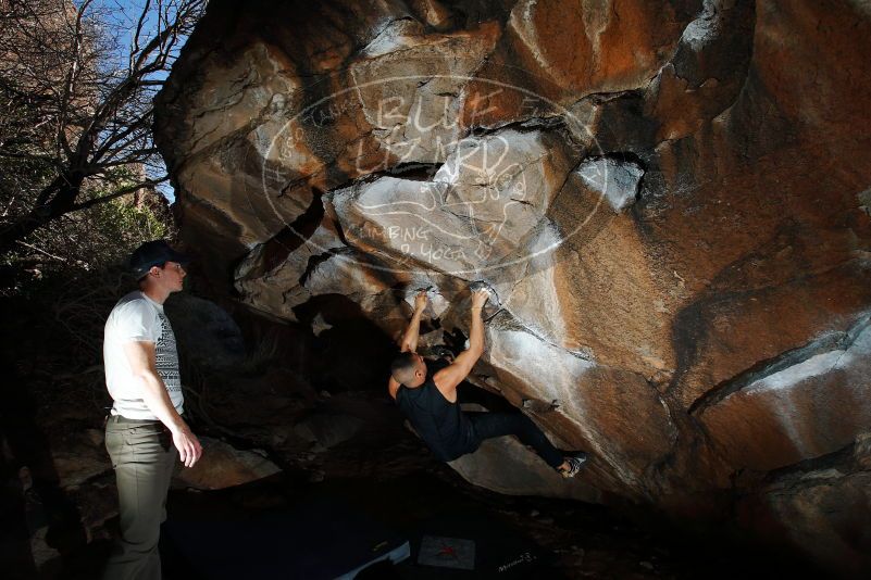 

Filename: SRM_20180223_1656360.jpg
Aperture: f/8.0
Shutter Speed: 1/250
Body: Canon EOS-1D Mark II
Lens: Canon EF 16-35mm f/2.8 L