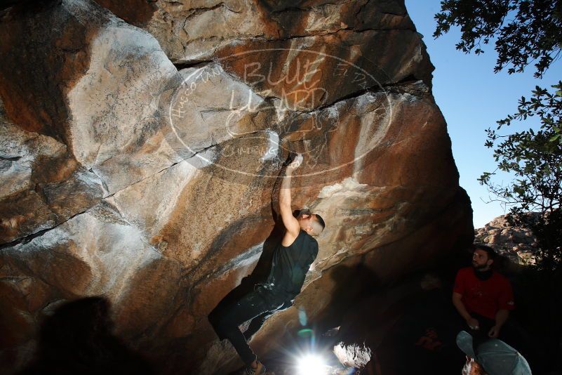 

Filename: SRM_20180223_1730240.jpg
Aperture: f/8.0
Shutter Speed: 1/250
Body: Canon EOS-1D Mark II
Lens: Canon EF 16-35mm f/2.8 L