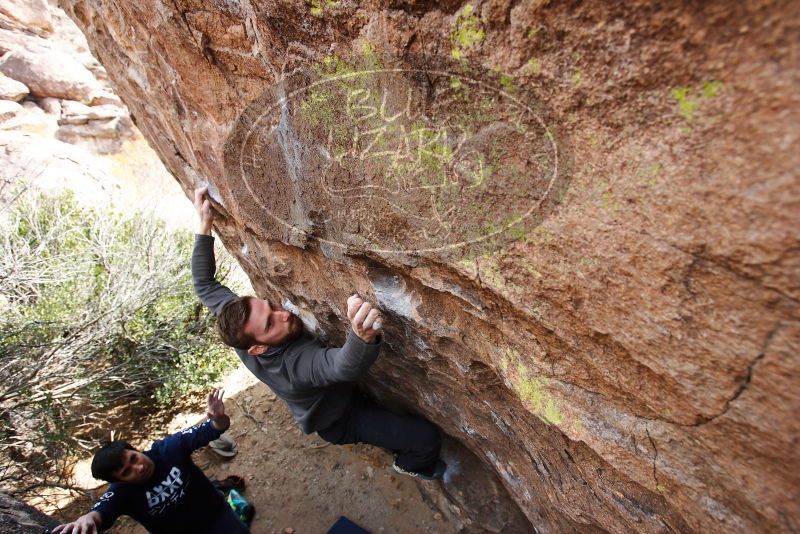 

Filename: SRM_20180223_1242460.jpg
Aperture: f/5.6
Shutter Speed: 1/250
Body: Canon EOS-1D Mark II
Lens: Canon EF 16-35mm f/2.8 L