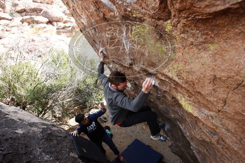 

Filename: SRM_20180223_1242500.jpg
Aperture: f/5.6
Shutter Speed: 1/250
Body: Canon EOS-1D Mark II
Lens: Canon EF 16-35mm f/2.8 L