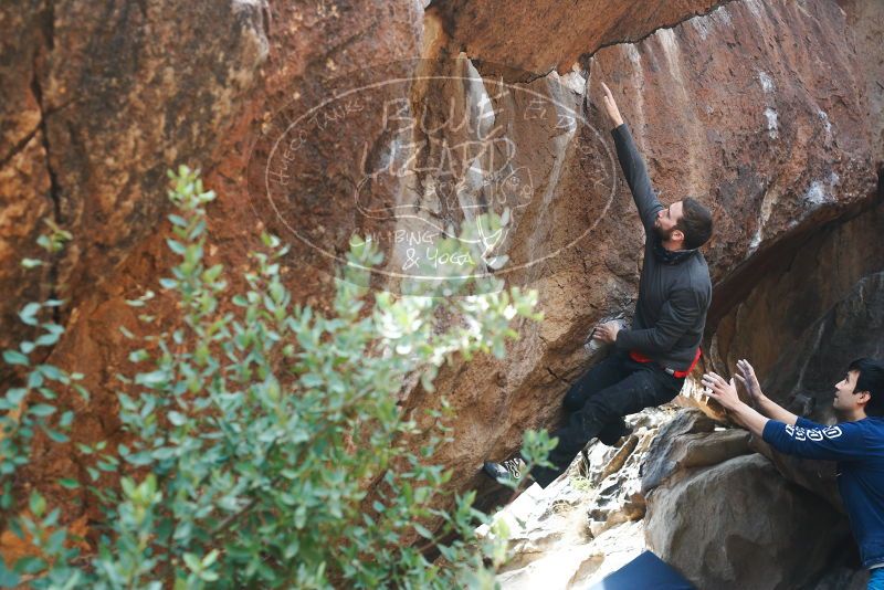 

Filename: SRM_20180223_1305480.jpg
Aperture: f/4.0
Shutter Speed: 1/400
Body: Canon EOS-1D Mark II
Lens: Canon EF 50mm f/1.8 II