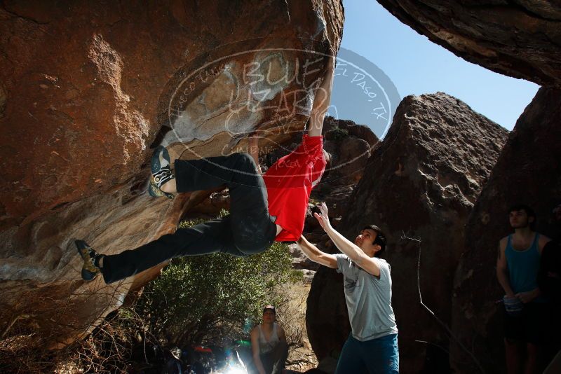 

Filename: SRM_20180223_1430420.jpg
Aperture: f/8.0
Shutter Speed: 1/250
Body: Canon EOS-1D Mark II
Lens: Canon EF 16-35mm f/2.8 L