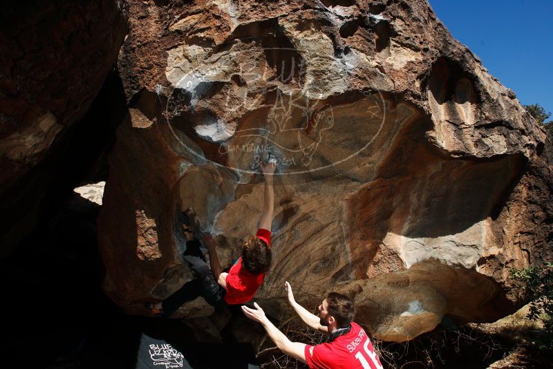 

Filename: SRM_20180223_1450250.jpg
Aperture: f/8.0
Shutter Speed: 1/200
Body: Canon EOS-1D Mark II
Lens: Canon EF 16-35mm f/2.8 L