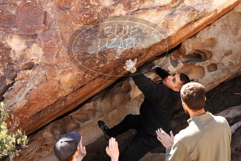 

Filename: SRM_20180225_1333180.jpg
Aperture: f/5.6
Shutter Speed: 1/400
Body: Canon EOS-1D Mark II
Lens: Canon EF 85mm f/1.2 L II