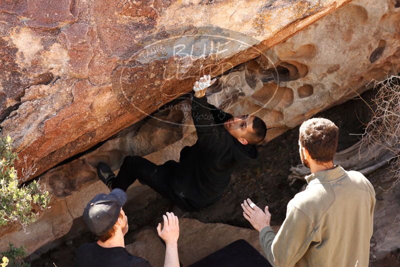 

Filename: SRM_20180225_1334540.jpg
Aperture: f/5.6
Shutter Speed: 1/400
Body: Canon EOS-1D Mark II
Lens: Canon EF 85mm f/1.2 L II