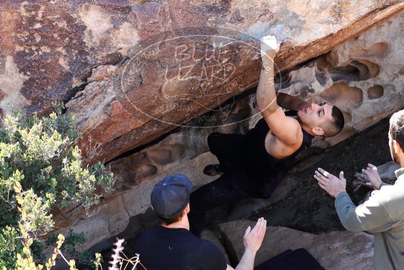 

Filename: SRM_20180225_1341401.jpg
Aperture: f/5.6
Shutter Speed: 1/400
Body: Canon EOS-1D Mark II
Lens: Canon EF 85mm f/1.2 L II