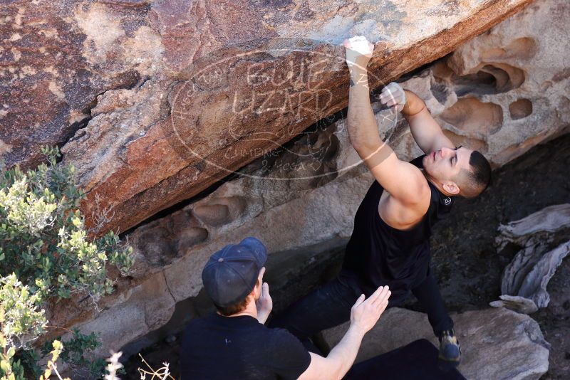 

Filename: SRM_20180225_1344232.jpg
Aperture: f/5.6
Shutter Speed: 1/400
Body: Canon EOS-1D Mark II
Lens: Canon EF 85mm f/1.2 L II