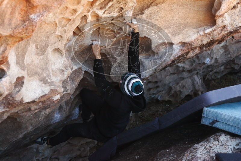 

Filename: SRM_20180225_1524241.jpg
Aperture: f/5.6
Shutter Speed: 1/250
Body: Canon EOS-1D Mark II
Lens: Canon EF 50mm f/1.8 II