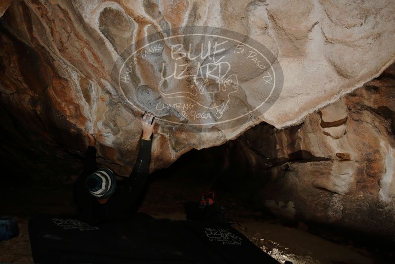 

Filename: SRM_20180225_1748250.jpg
Aperture: f/8.0
Shutter Speed: 1/160
Body: Canon EOS-1D Mark II
Lens: Canon EF 16-35mm f/2.8 L