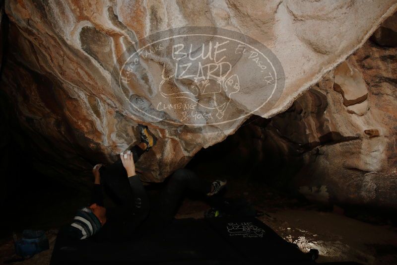 

Filename: SRM_20180225_1806210.jpg
Aperture: f/8.0
Shutter Speed: 1/160
Body: Canon EOS-1D Mark II
Lens: Canon EF 16-35mm f/2.8 L