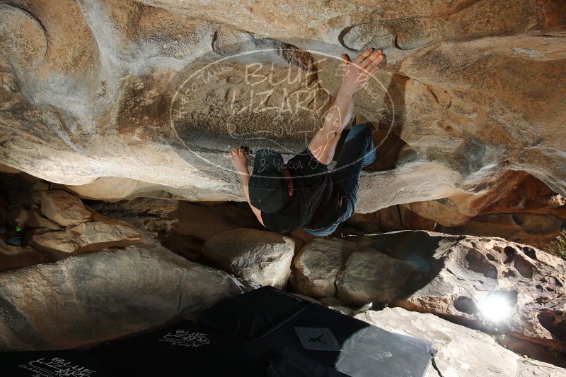 

Filename: SRM_20180225_1053550.jpg
Aperture: f/8.0
Shutter Speed: 1/250
Body: Canon EOS-1D Mark II
Lens: Canon EF 16-35mm f/2.8 L