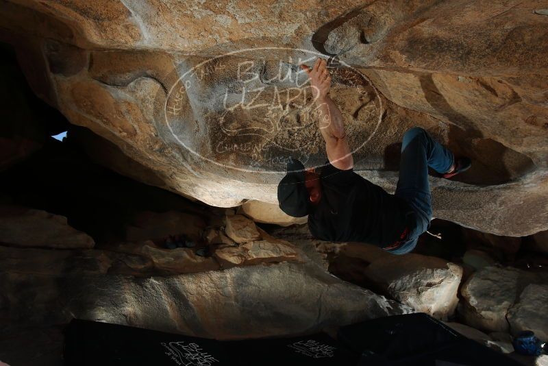 

Filename: SRM_20180225_1105540.jpg
Aperture: f/8.0
Shutter Speed: 1/250
Body: Canon EOS-1D Mark II
Lens: Canon EF 16-35mm f/2.8 L