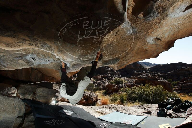 

Filename: SRM_20180225_1033530.jpg
Aperture: f/8.0
Shutter Speed: 1/250
Body: Canon EOS-1D Mark II
Lens: Canon EF 16-35mm f/2.8 L