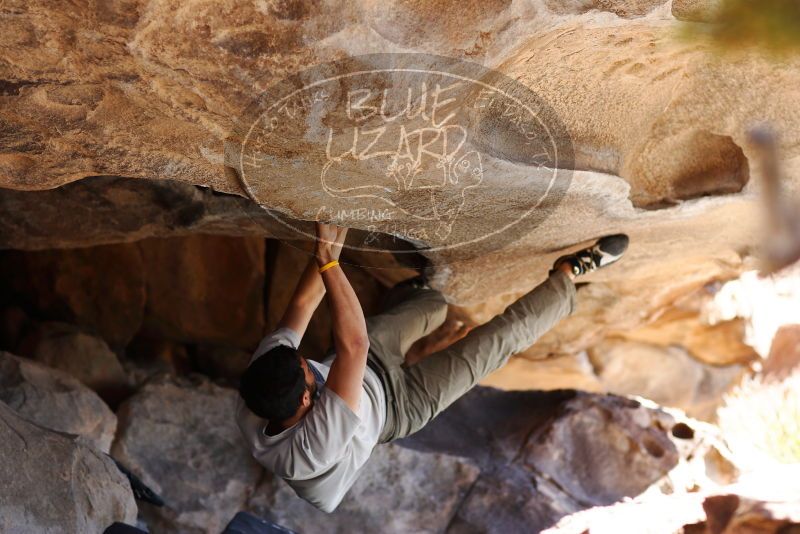 

Filename: SRM_20180225_1217020.jpg
Aperture: f/2.8
Shutter Speed: 1/400
Body: Canon EOS-1D Mark II
Lens: Canon EF 85mm f/1.2 L II