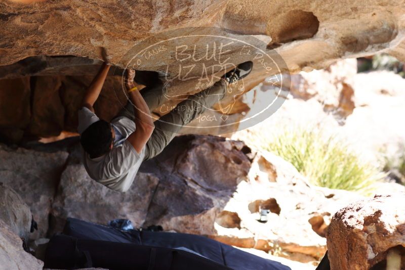 

Filename: SRM_20180225_1234430.jpg
Aperture: f/4.0
Shutter Speed: 1/500
Body: Canon EOS-1D Mark II
Lens: Canon EF 85mm f/1.2 L II