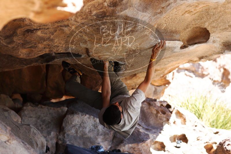 

Filename: SRM_20180225_1234490.jpg
Aperture: f/4.0
Shutter Speed: 1/400
Body: Canon EOS-1D Mark II
Lens: Canon EF 85mm f/1.2 L II