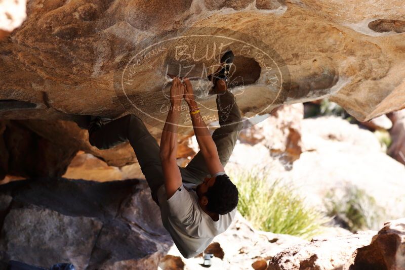 

Filename: SRM_20180225_1234560.jpg
Aperture: f/4.0
Shutter Speed: 1/640
Body: Canon EOS-1D Mark II
Lens: Canon EF 85mm f/1.2 L II