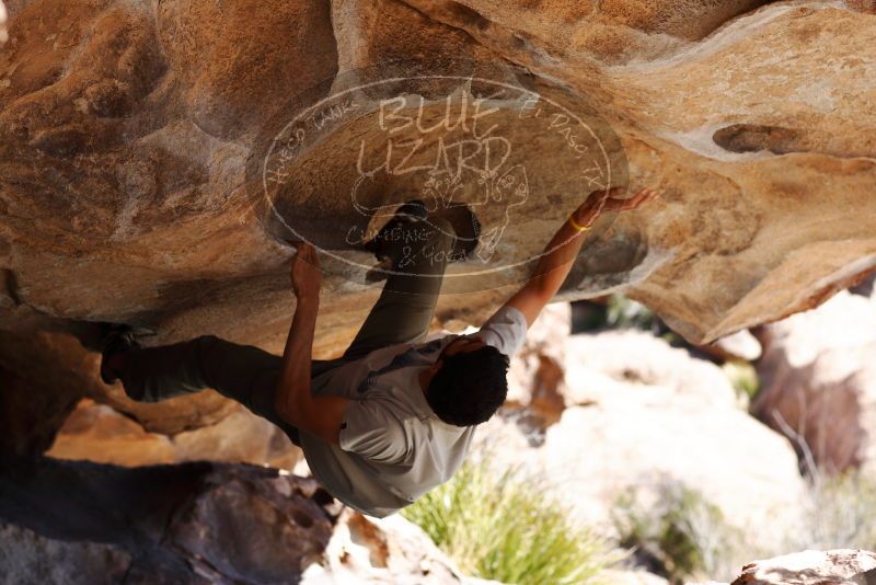 

Filename: SRM_20180225_1234580.jpg
Aperture: f/4.0
Shutter Speed: 1/800
Body: Canon EOS-1D Mark II
Lens: Canon EF 85mm f/1.2 L II