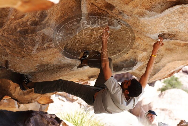 

Filename: SRM_20180225_1241080.jpg
Aperture: f/4.0
Shutter Speed: 1/640
Body: Canon EOS-1D Mark II
Lens: Canon EF 85mm f/1.2 L II