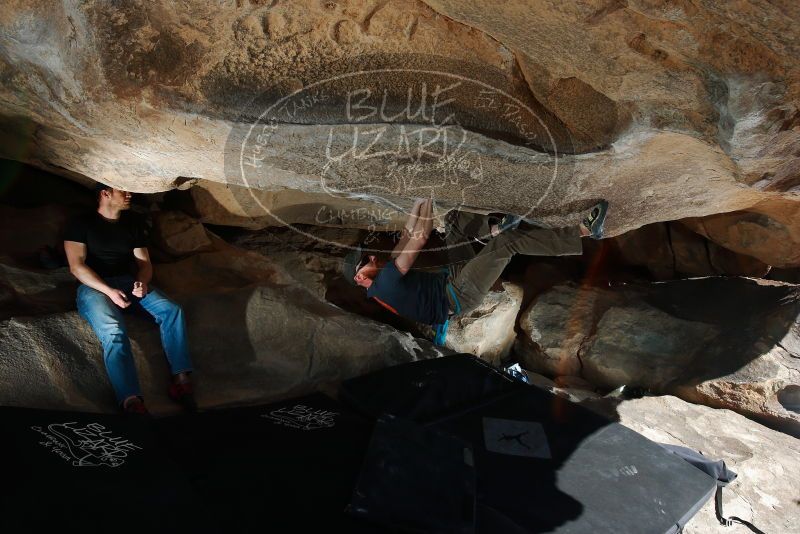 

Filename: SRM_20180225_1107430.jpg
Aperture: f/8.0
Shutter Speed: 1/250
Body: Canon EOS-1D Mark II
Lens: Canon EF 16-35mm f/2.8 L