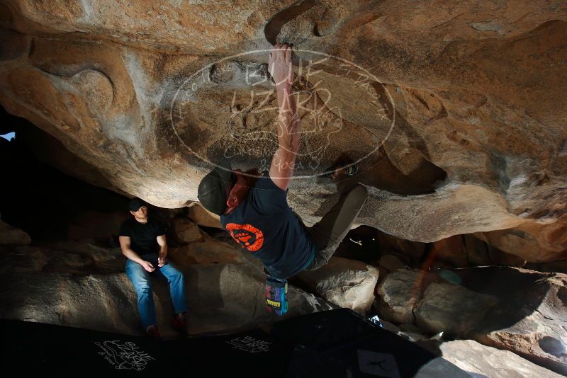 

Filename: SRM_20180225_1108200.jpg
Aperture: f/8.0
Shutter Speed: 1/250
Body: Canon EOS-1D Mark II
Lens: Canon EF 16-35mm f/2.8 L