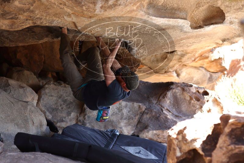 

Filename: SRM_20180225_1231140.jpg
Aperture: f/4.0
Shutter Speed: 1/125
Body: Canon EOS-1D Mark II
Lens: Canon EF 85mm f/1.2 L II