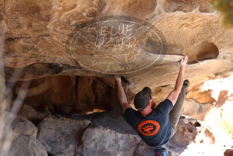 

Filename: SRM_20180225_1231190.jpg
Aperture: f/4.0
Shutter Speed: 1/125
Body: Canon EOS-1D Mark II
Lens: Canon EF 85mm f/1.2 L II