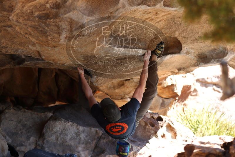 

Filename: SRM_20180225_1231200.jpg
Aperture: f/4.0
Shutter Speed: 1/200
Body: Canon EOS-1D Mark II
Lens: Canon EF 85mm f/1.2 L II