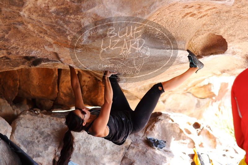 

Filename: SRM_20180310_1112560.jpg
Aperture: f/4.0
Shutter Speed: 1/400
Body: Canon EOS-1D Mark II
Lens: Canon EF 85mm f/1.2 L II