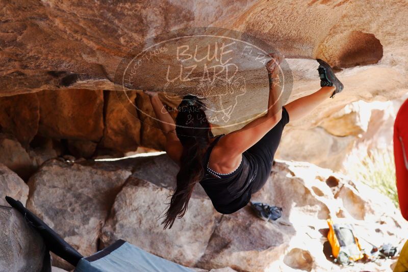 

Filename: SRM_20180310_1112590.jpg
Aperture: f/4.0
Shutter Speed: 1/500
Body: Canon EOS-1D Mark II
Lens: Canon EF 85mm f/1.2 L II