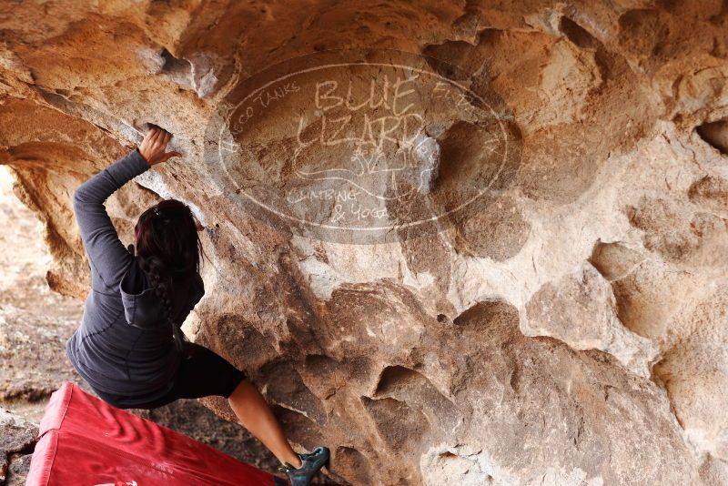 

Filename: SRM_20180310_1421510.jpg
Aperture: f/2.8
Shutter Speed: 1/400
Body: Canon EOS-1D Mark II
Lens: Canon EF 85mm f/1.2 L II