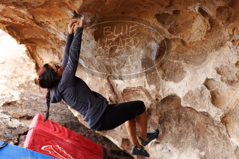 

Filename: SRM_20180310_1421580.jpg
Aperture: f/2.8
Shutter Speed: 1/500
Body: Canon EOS-1D Mark II
Lens: Canon EF 85mm f/1.2 L II