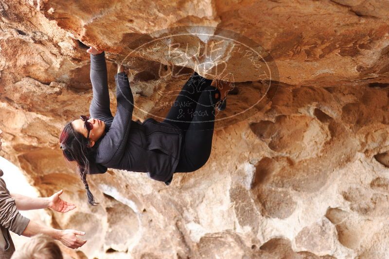 

Filename: SRM_20180310_1422140.jpg
Aperture: f/2.8
Shutter Speed: 1/320
Body: Canon EOS-1D Mark II
Lens: Canon EF 85mm f/1.2 L II