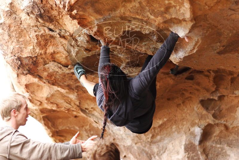 

Filename: SRM_20180310_1451400.jpg
Aperture: f/2.8
Shutter Speed: 1/640
Body: Canon EOS-1D Mark II
Lens: Canon EF 85mm f/1.2 L II