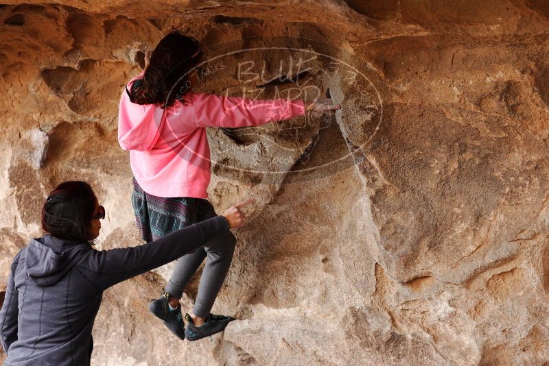 

Filename: SRM_20180310_1459040.jpg
Aperture: f/3.2
Shutter Speed: 1/640
Body: Canon EOS-1D Mark II
Lens: Canon EF 85mm f/1.2 L II