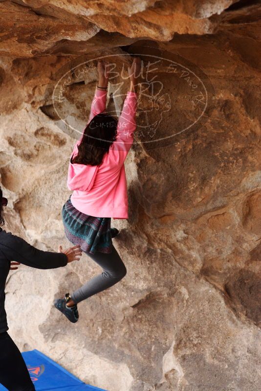 

Filename: SRM_20180310_1459191.jpg
Aperture: f/3.2
Shutter Speed: 1/640
Body: Canon EOS-1D Mark II
Lens: Canon EF 85mm f/1.2 L II