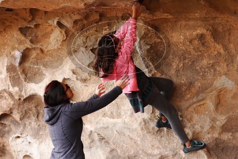 

Filename: SRM_20180310_1459280.jpg
Aperture: f/3.2
Shutter Speed: 1/640
Body: Canon EOS-1D Mark II
Lens: Canon EF 85mm f/1.2 L II