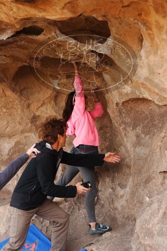 

Filename: SRM_20180310_1500450.jpg
Aperture: f/3.5
Shutter Speed: 1/500
Body: Canon EOS-1D Mark II
Lens: Canon EF 85mm f/1.2 L II