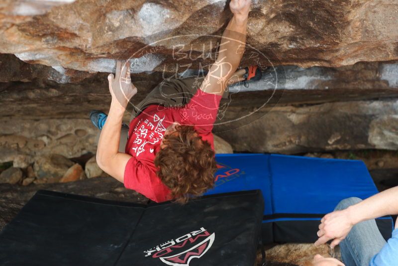 

Filename: SRM_20180310_1539560.jpg
Aperture: f/4.0
Shutter Speed: 1/320
Body: Canon EOS-1D Mark II
Lens: Canon EF 50mm f/1.8 II