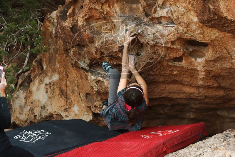 

Filename: SRM_20180310_1607021.jpg
Aperture: f/4.0
Shutter Speed: 1/640
Body: Canon EOS-1D Mark II
Lens: Canon EF 50mm f/1.8 II