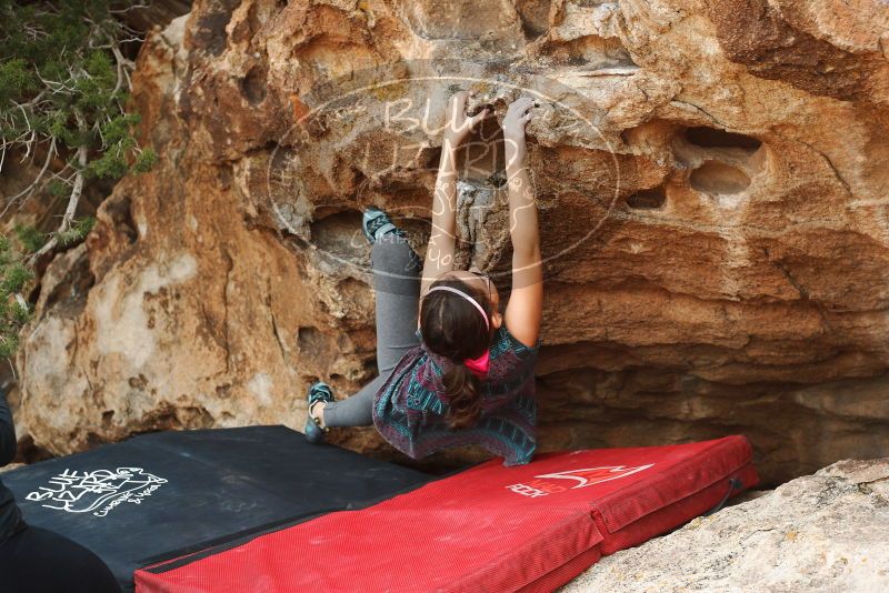 

Filename: SRM_20180310_1607031.jpg
Aperture: f/4.0
Shutter Speed: 1/500
Body: Canon EOS-1D Mark II
Lens: Canon EF 50mm f/1.8 II